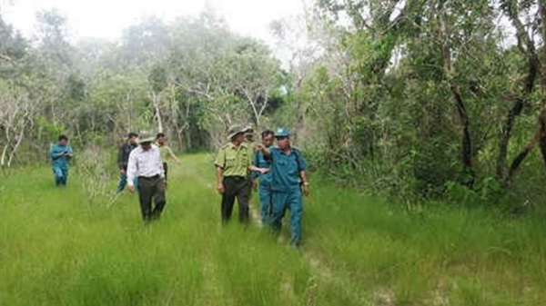Chi cục Kiểm lâm Bình Thuận kiểm tra rừng Tà Cú - Nguồn VOV